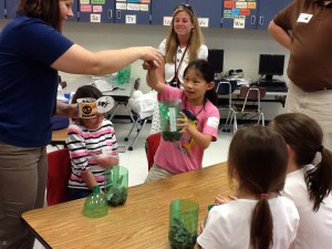 Student learning about plant growth at science club