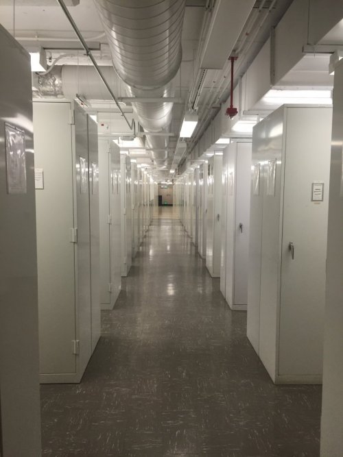 A look down one of the long hallways in the insect collections, which houses about 35 million specimens. ​