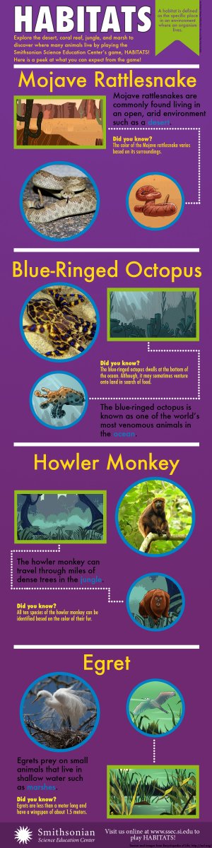 Infographic describing different animals in the Habitats game