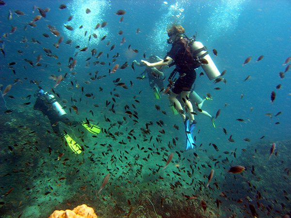 Scuba diver swimming with fish