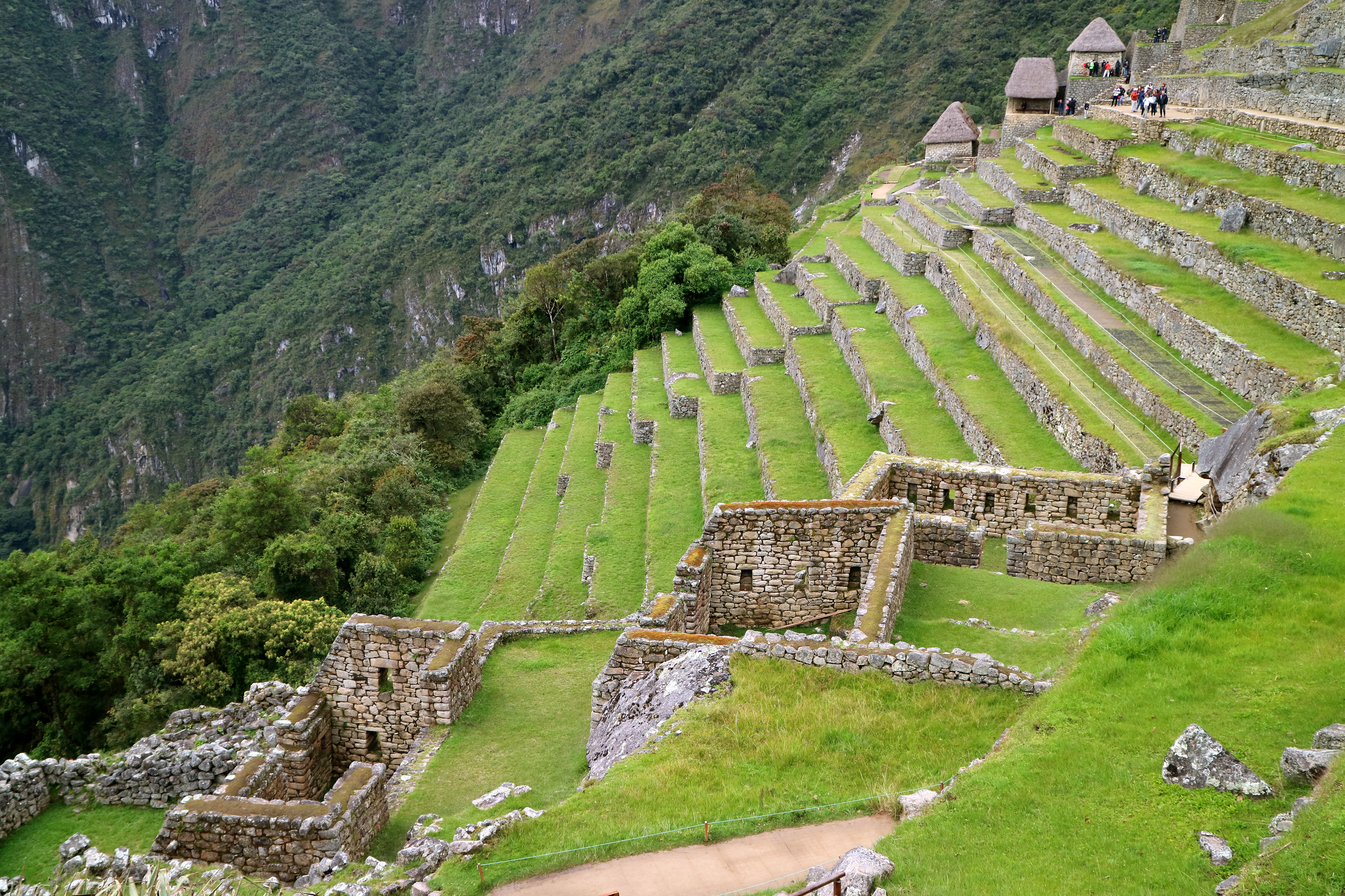 A view of Macchu Picchu terraced hillside