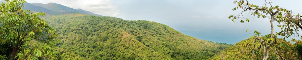 Image of the dense forest of Gombe National Park rises above Lake Tanganyika