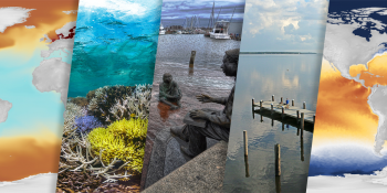 A collage of images from left to right: a world map, a coral reef, a metal sculpture of a teacher talking to a student, a dock on a lake, and a world map