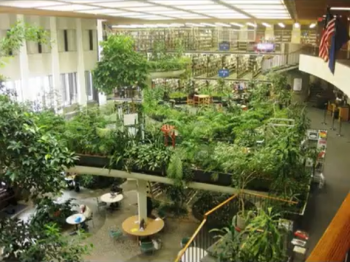 An ecological library consisting of trees and plants throughout a two story library with a glass ceiling