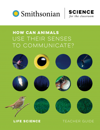 How Can Animals Use their Senses to Communicate