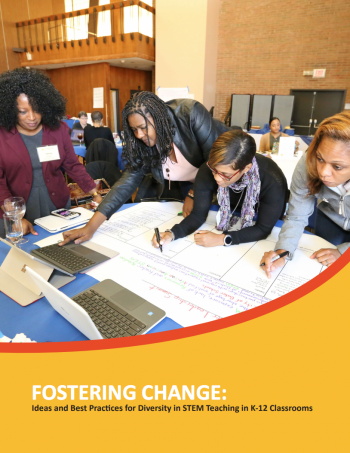 Image the Fostering Change Playbook