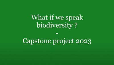 A green rectangle with white text saying what if we speak biodiversity - capstone project 2023