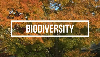 White text that says Biodiversity layered overtop of a photo of trees with the leaves changing from green to orange