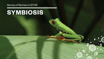 Cover of Stories of Women in STEM: Symbiosis with a green frog on a leaf