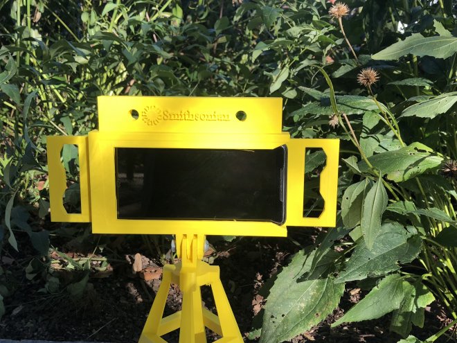 Image of camera trap in a garden