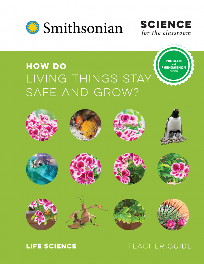 How Do Living Things Stay Safe and Grow?