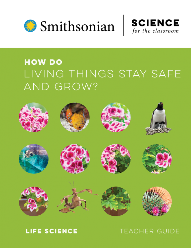 How Do Living Things Stay Safe And Grow?
